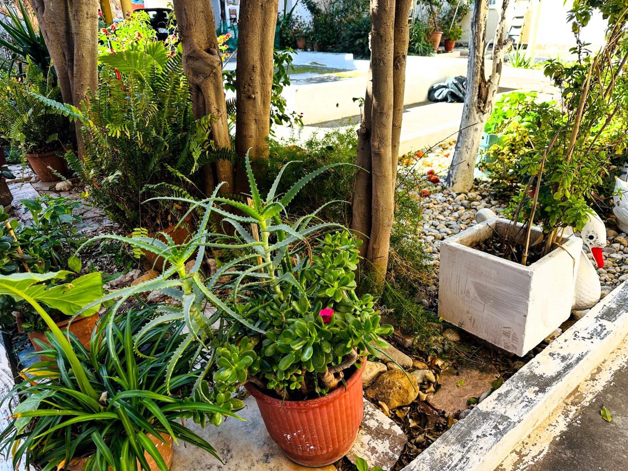 Matina Room La Canea Exterior foto